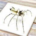 Giant Mechanical Metal Spider 3D Assembly Model – DIY Puzzle Kit, Creative Desk Decor, Gift Toy for Boys